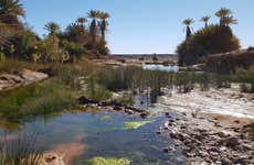 Desert & Erfoud Fossil Quarry Offroading Tour
