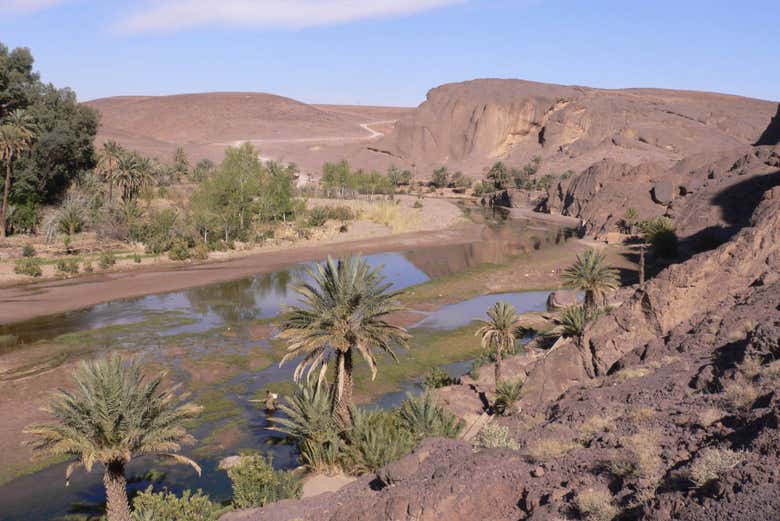 Oasis de Fint