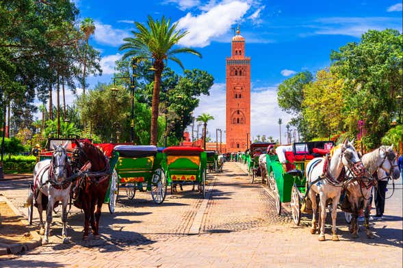 Excursión a Marrakech
