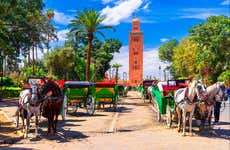 Marrakech Day Trip