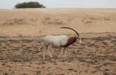 Souss-Massa National Park Day Trip