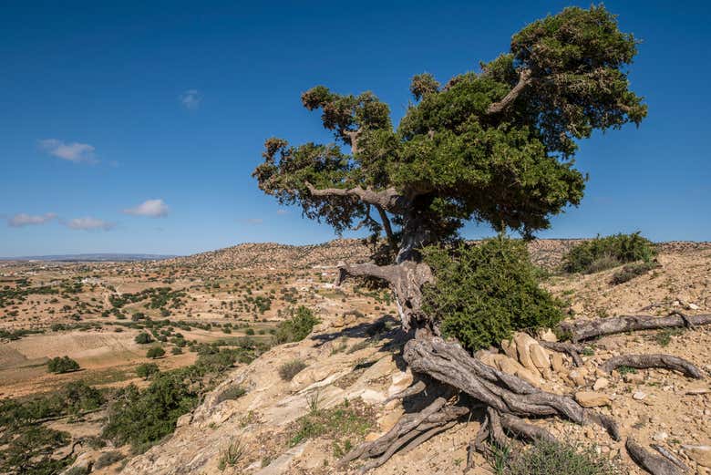 Paysages pendant l'excursion