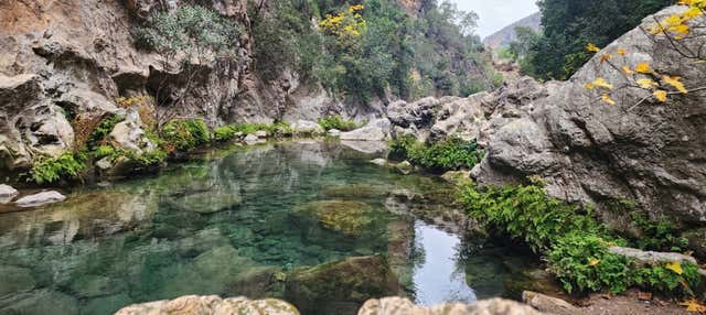 Excursion à Chefchaouen et aux cascades d'Akchour