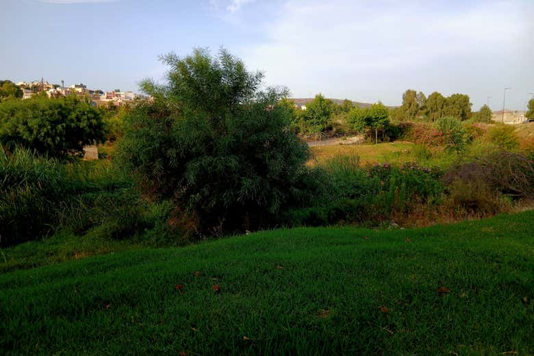 El paisaje de Bin Wassine