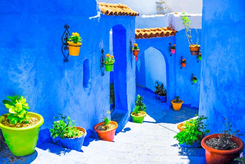 Plusieurs pots de fleurs décorant les rues bleues de Chefchaouen