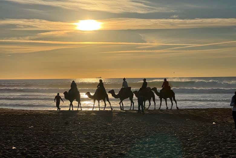 Balade à dos de chameau sur une plage de Tanger