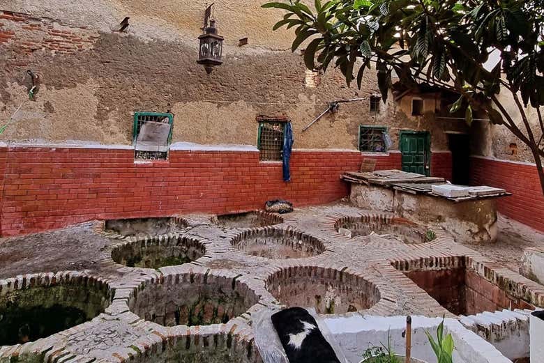 Una curtiduría en Tetuán 