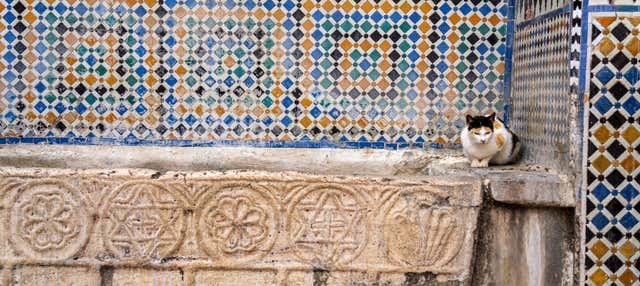 Visita guiada por Tetuán