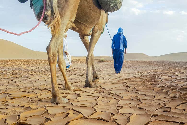 Deserto de Zagora