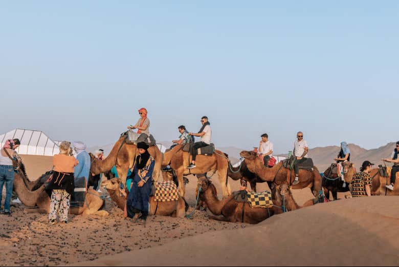 Départ de la balade à dos de chameau dans le désert de Zagora