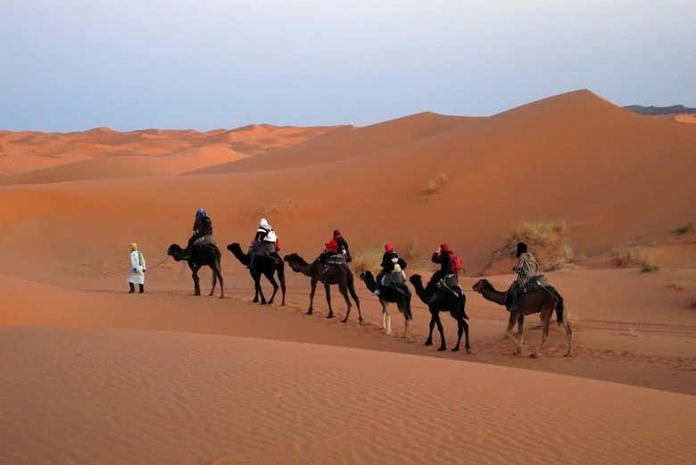 Passeggiata in cammello nel deserto di Zagora