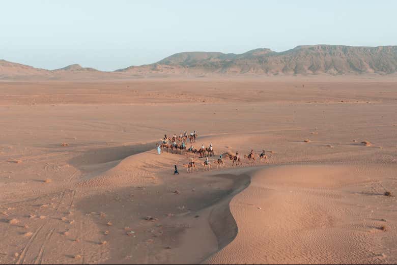 Vue aérienne sur les chameaux dans le désert de Zagora