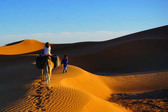 Paseo en camello y noche en el desierto