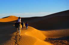 Paseo en camello y noche en el desierto