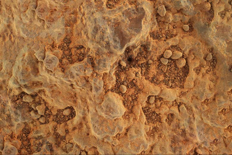 ¿Se puede cultivar comida en Marte?