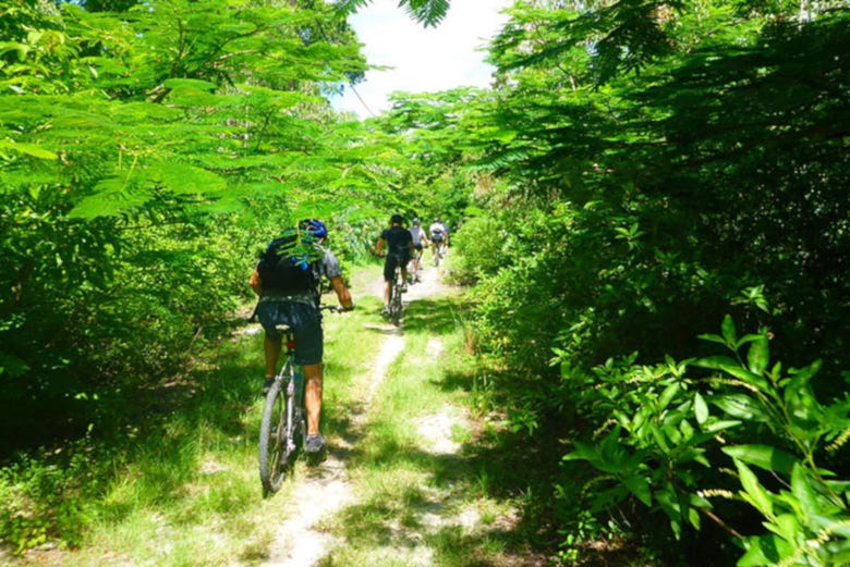 Balade à vélo dans l'Île Maurice