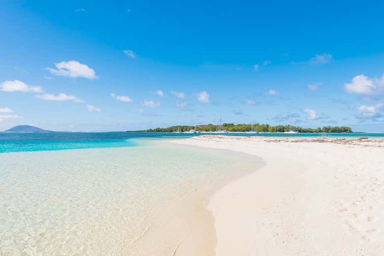 Playas vírgenes de isla Plana
