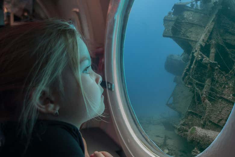 Contemplando las maravillas del océano