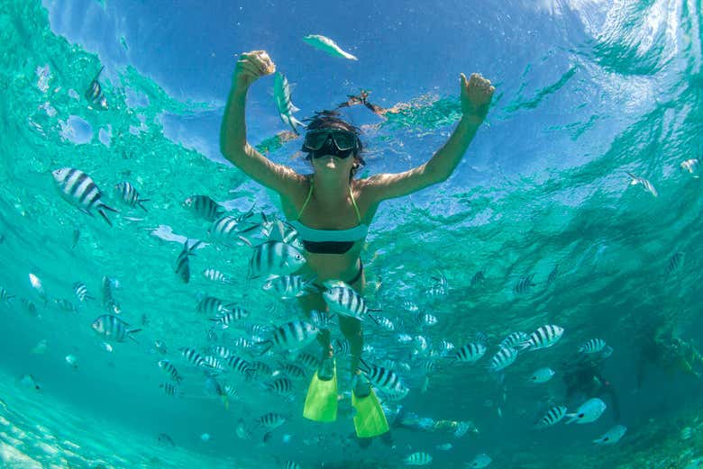 Snorkelling in the north of Mauritius