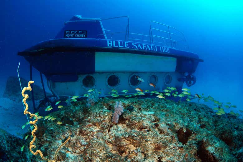 El submarino en el que pasearemos