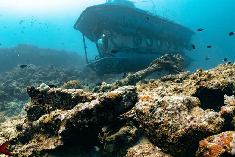 Será una experiencia única