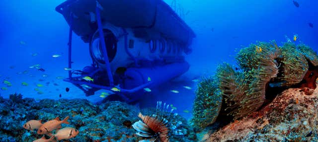 Giro in sottomarino a Grand Baie