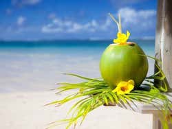 Noix de coco sur une plage paradisiaque