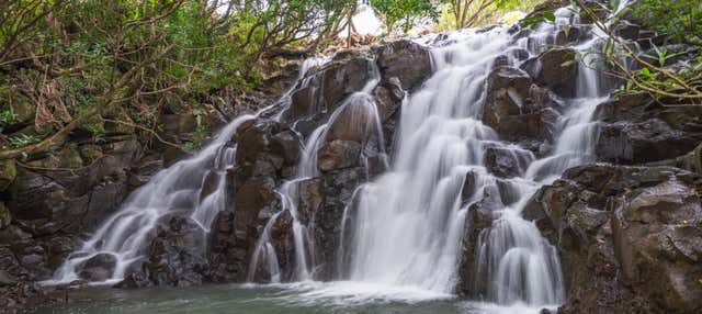 Excursión privada a Vallée des Couleurs y La Vanille