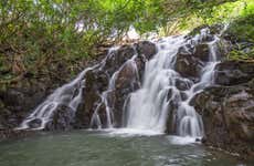 Excursión privada a Vallée des Couleurs y La Vanille