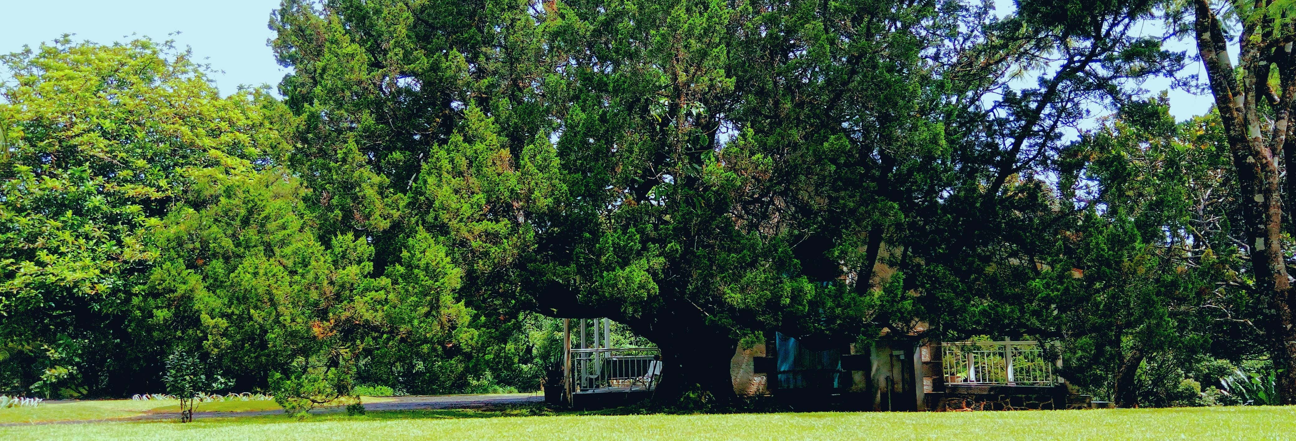 Excursiones de un día en Plaines Wilhems
