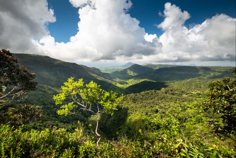 La nature luxuriante du parc national