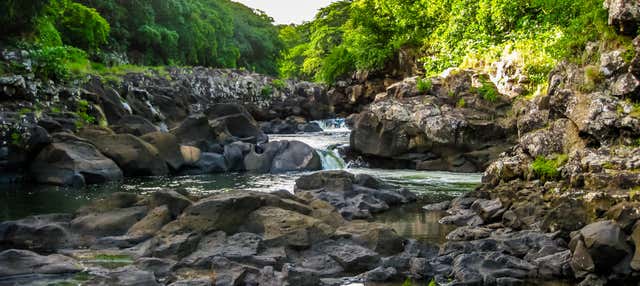 Randonnée dans le Parc National des Gorges de Rivière Noire