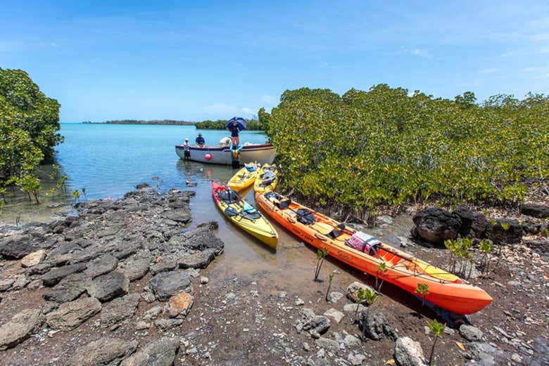 Vista de la costa de Isla Mauricio
