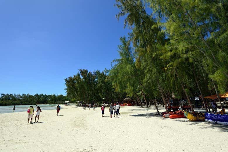 Deer Island beach