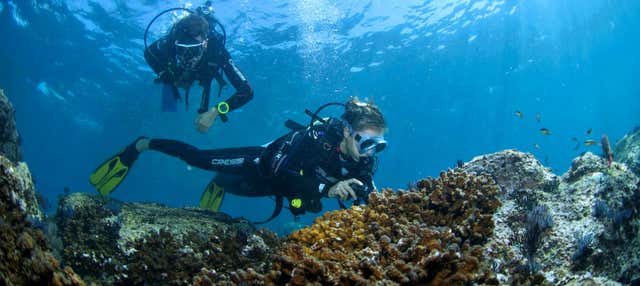 Bautismo de buceo en Acapulco