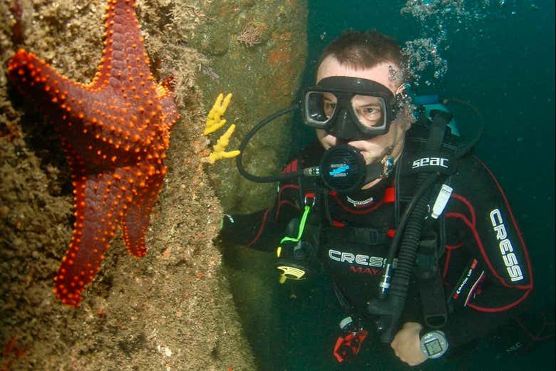 Descobrindo as belezas marinhas de Acapulco