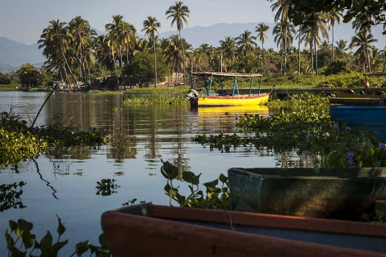 La laguna de Coyuca