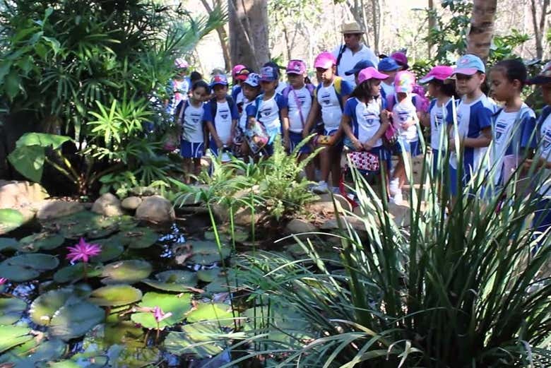 Visitando o Jardim Botânico de Acapulco