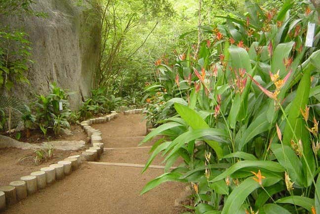 Caminhos do Jardim Botânico de Acapulco