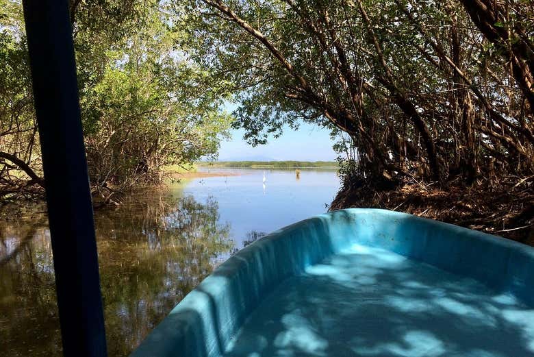 Túneles de manglares