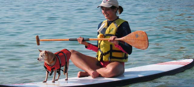 Isla El Morro Paddleboarding
