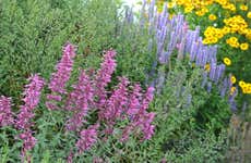 Tour por el Jardín Botánico de Acapulco