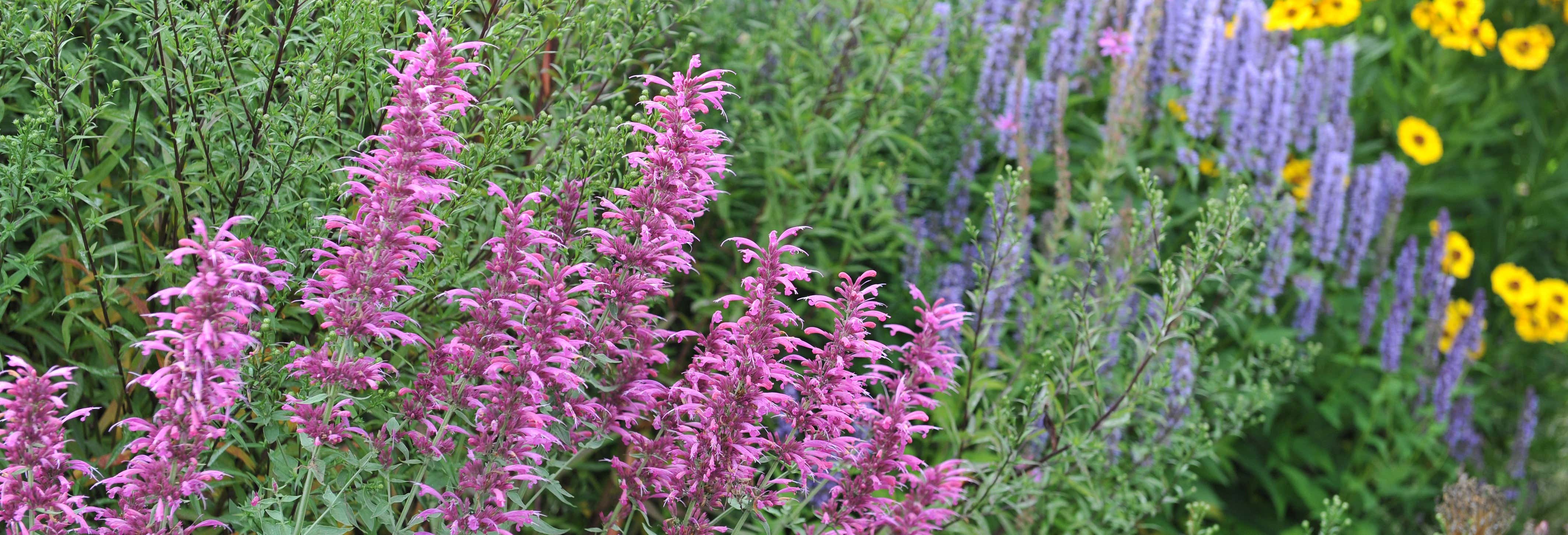 Visitas guiadas e free tours em Acapulco