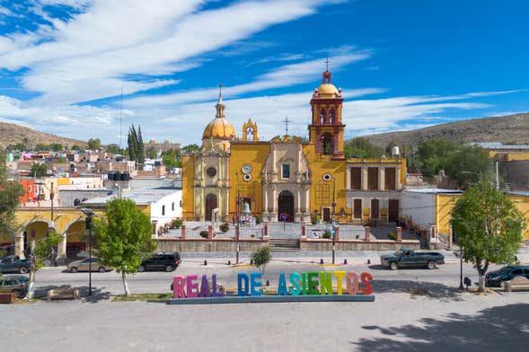 Excursión a Real de Asientos + Vinícola El Secreto