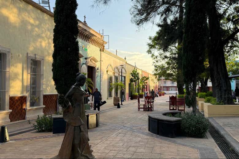 Paseando por el barrio del Encino