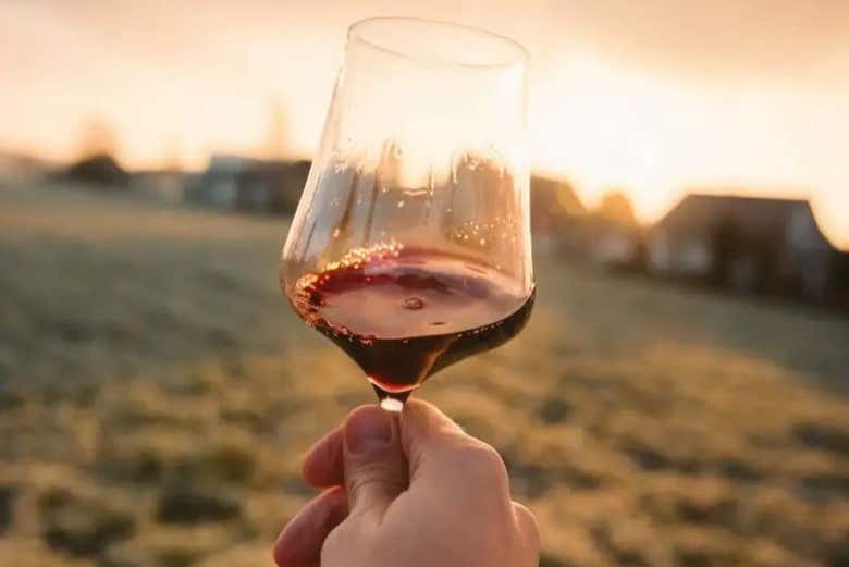 Wine tasting in Aguascalientes