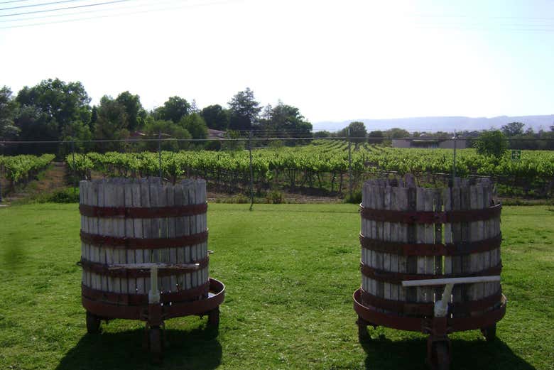 Cubas de los viñedos Casa Leal