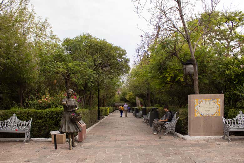 Explorando el Jardín de San Marcos