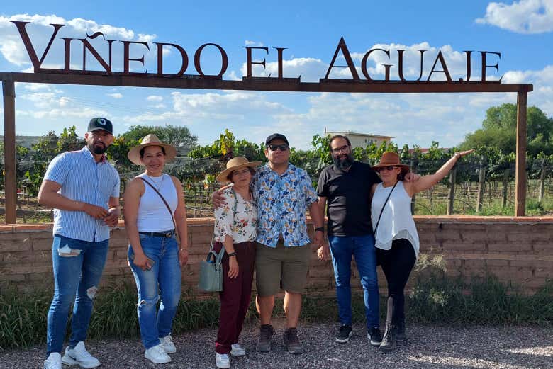 Visit a local vineyard