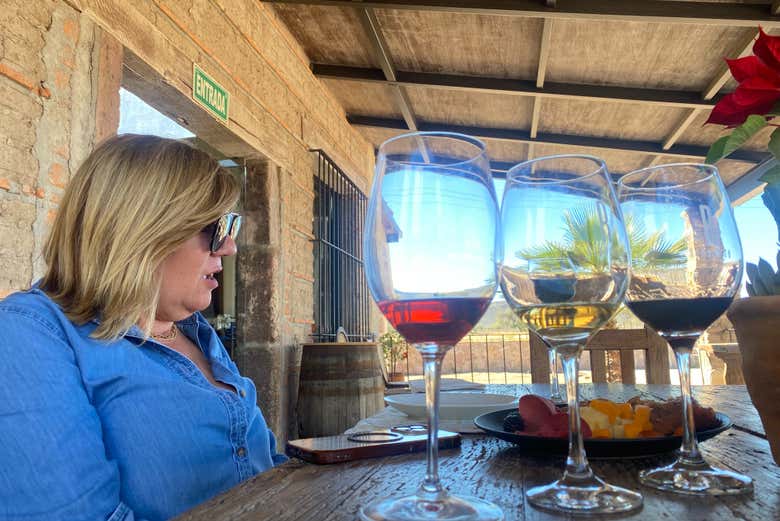 Enjoy a wine tasting